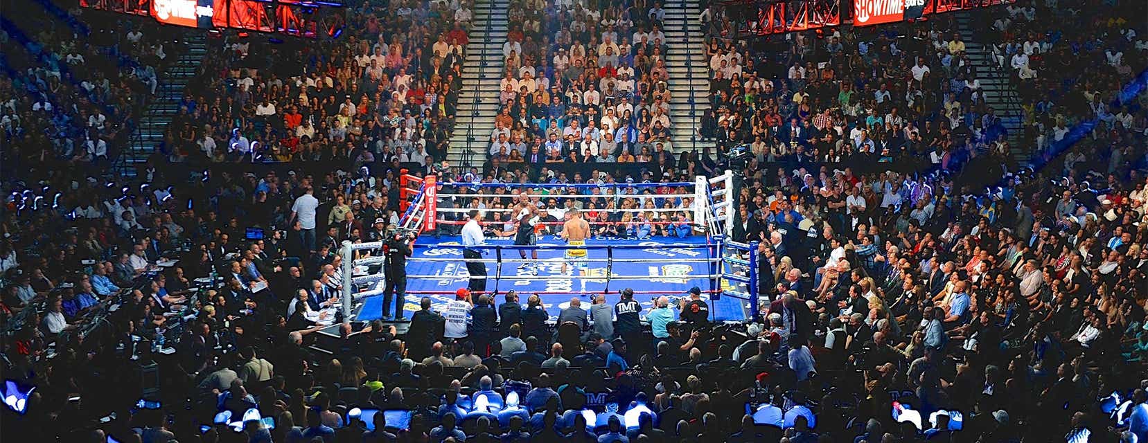 Kovalev v Pulev