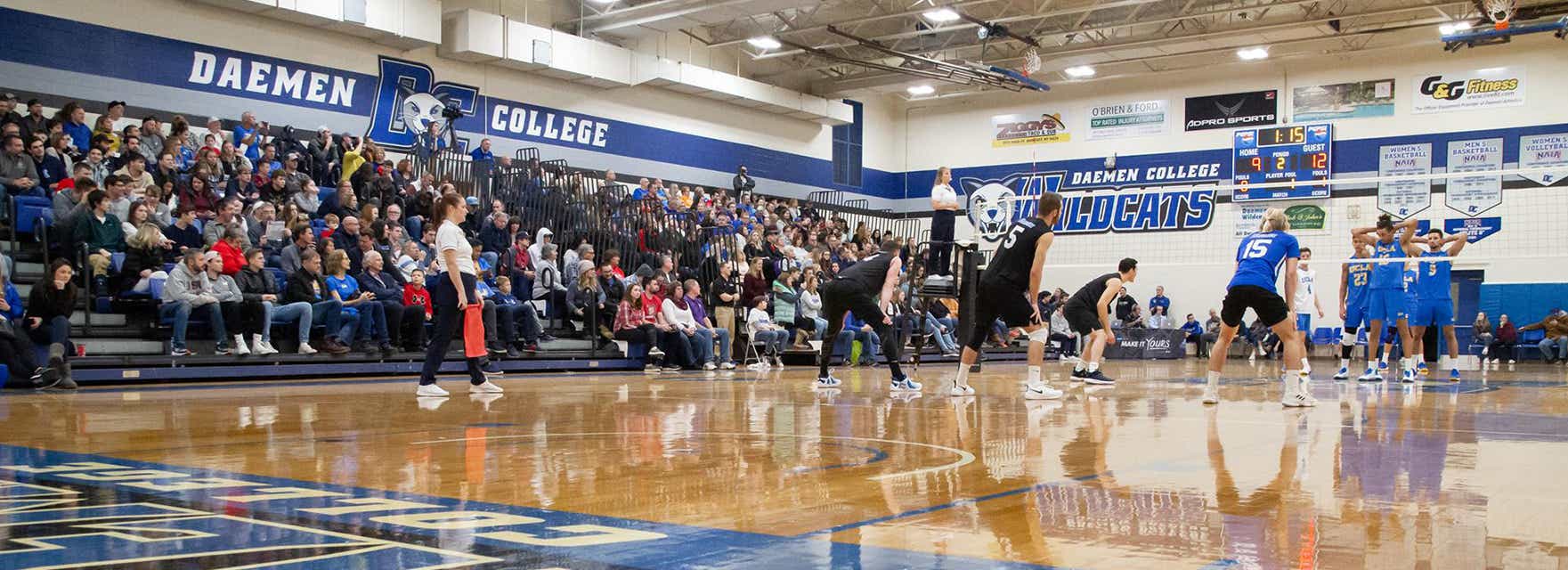Daemen Basketball