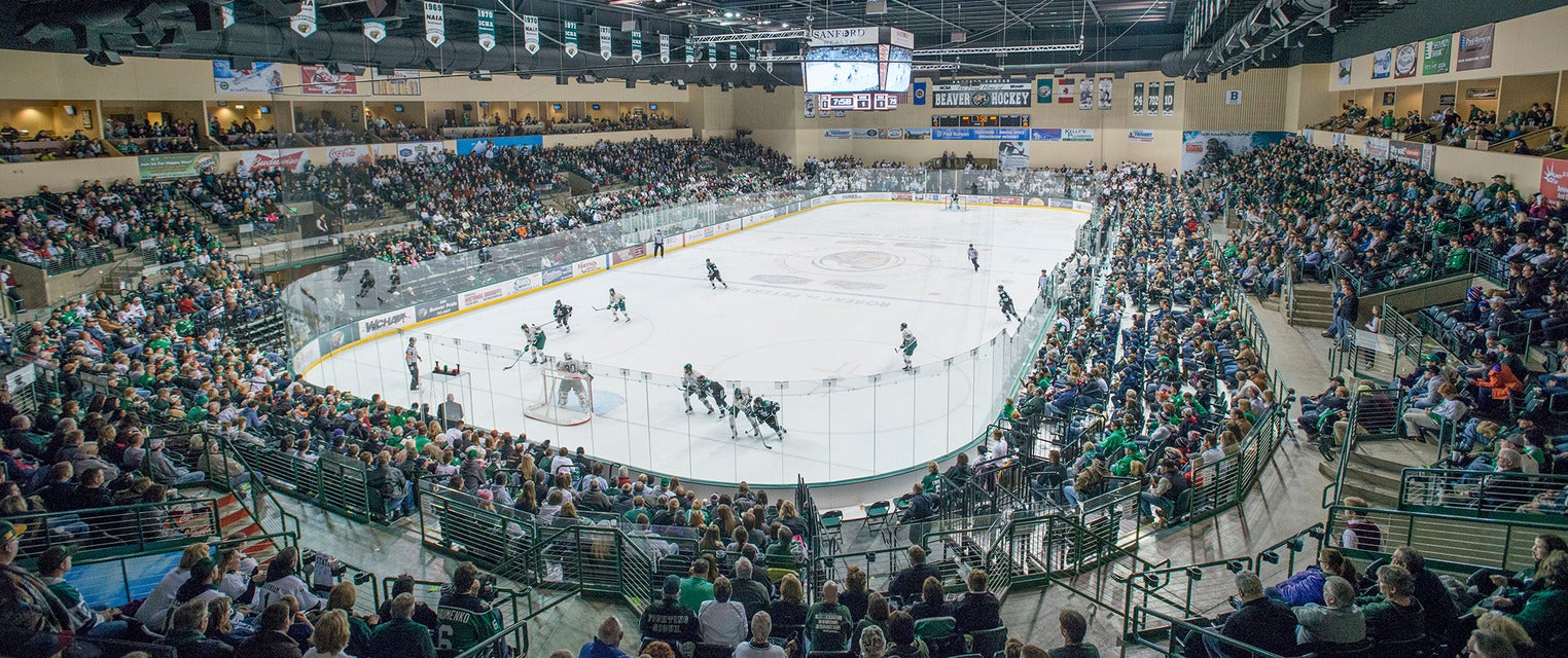 Bemidji State Hockey will be playing Minnesota Hockey at The Sanford Center in Bemidji