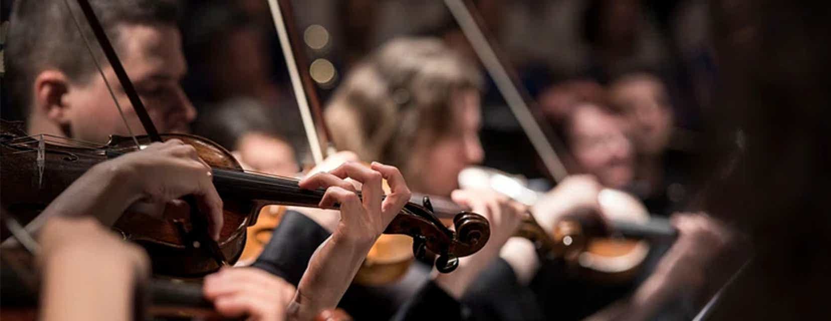 Disney's The Lion King 30th Anniversary: Live-To-Film Tickets