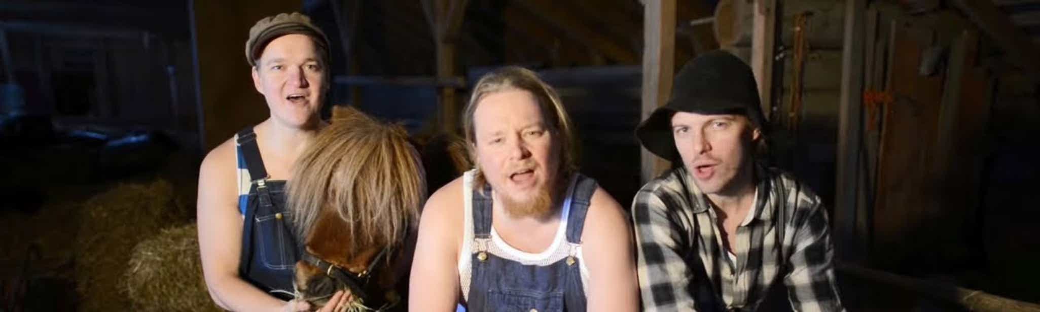 Steve'n'Seagulls Tickets