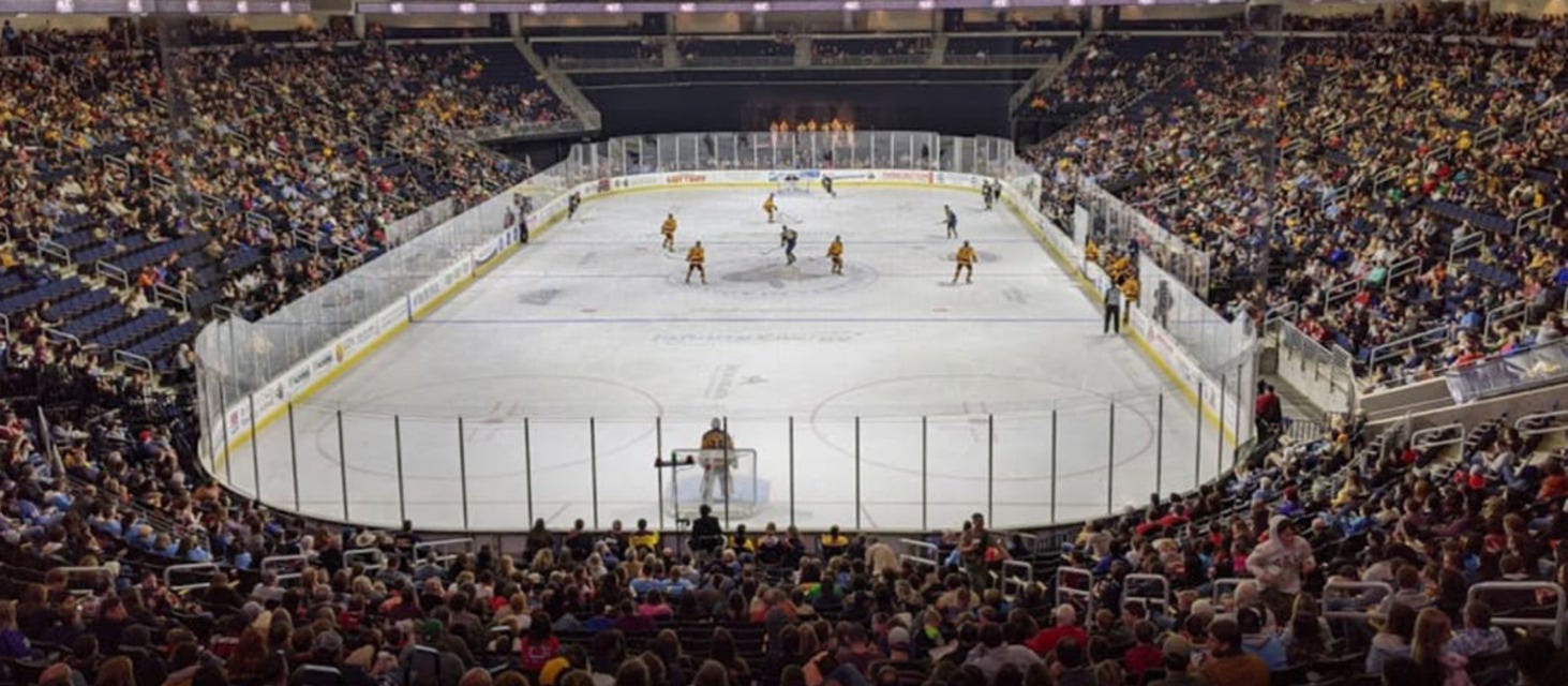 Atlanta Gladiators will be playing South Carolina Stingrays at Gas South Arena in Duluth
