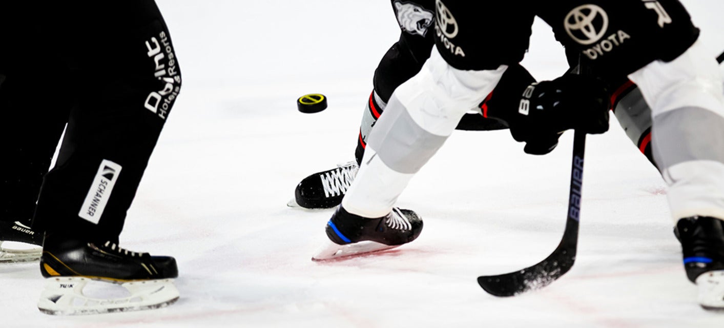 Bloomington Bison will be playing Fort Wayne Komets at Grossinger Motors Arena in Bloomington