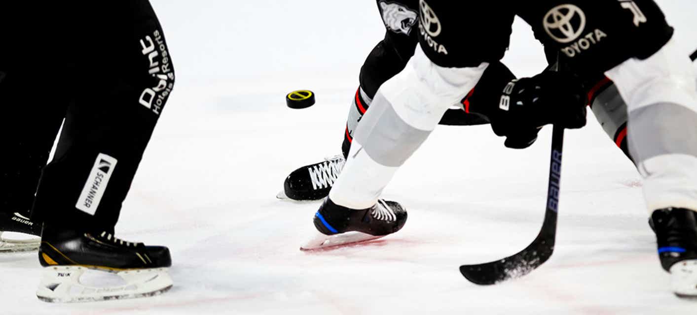 Bloomington Bison will be playing Kalamazoo Wings at Grossinger Motors Arena in Bloomington