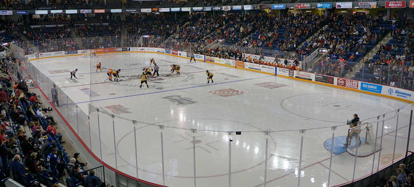 Niagara IceDogs