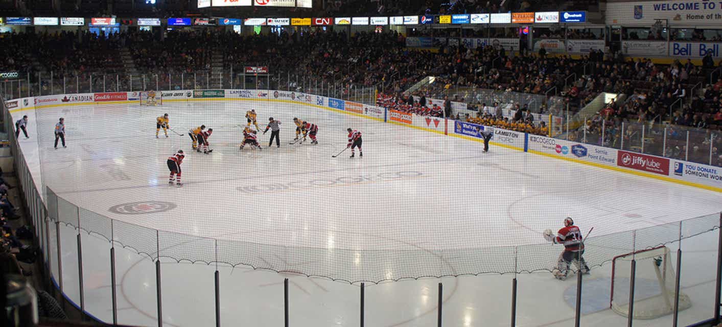 Sarnia Sting