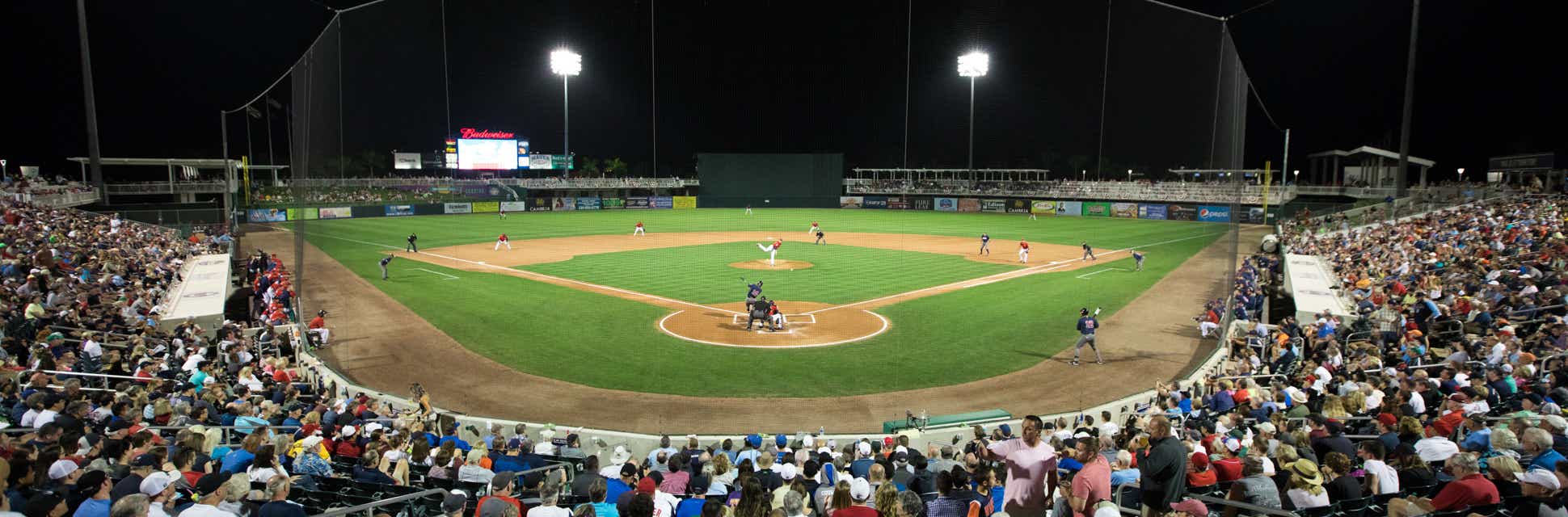 Twins - Spring Training