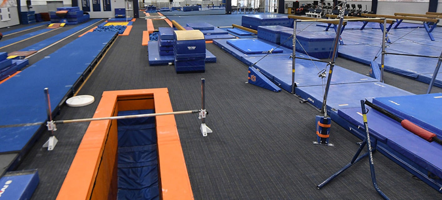 Michigan Women's Gymnastics will be playing Rutgers Women's Gymnastics at Crisler Center in Ann Arbor