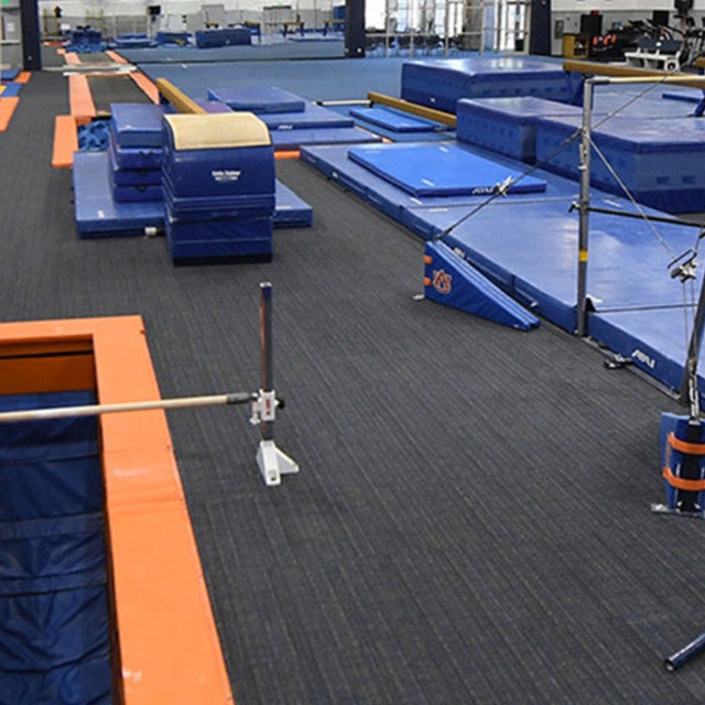 Cheap Minnesota Women's Gymnastics Tickets | Gametime