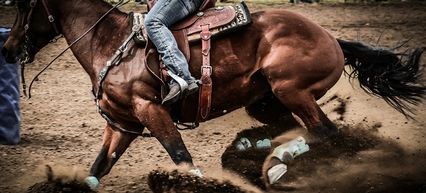 Fair Grounds Live Racing will be playing at New Orleans Fairgrounds in New Orleans