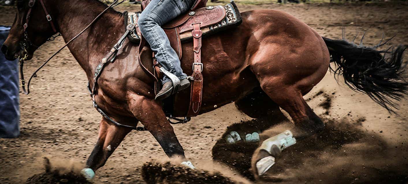 Fair Grounds Live Racing