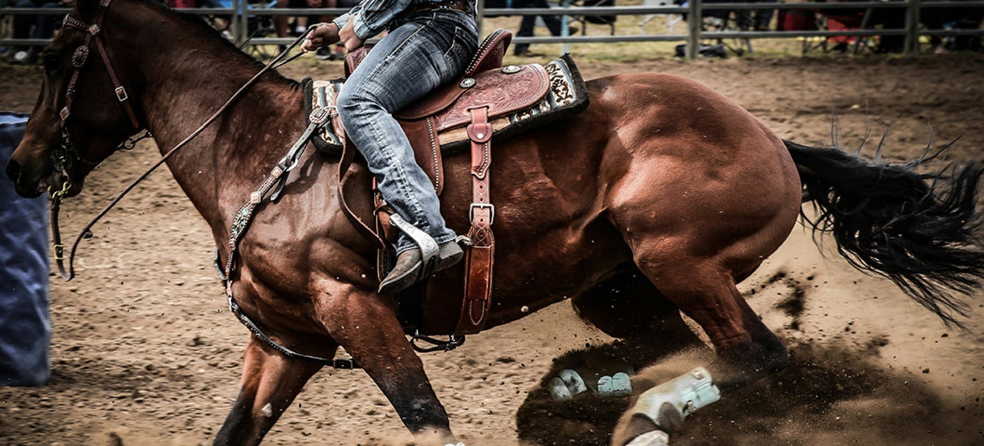 Royal Winter Fair Horse Show will be playing at Coca-Cola Coliseum in Toronto