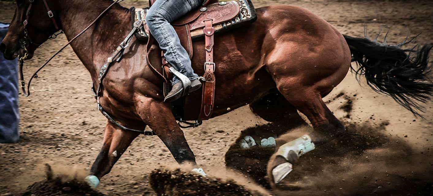 Silver Spurs Rodeo