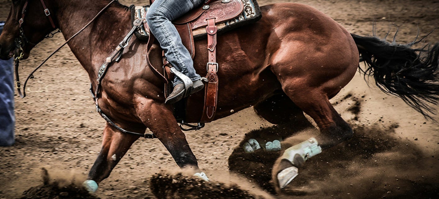 Thoroughbred Racing will be playing at Sam Houston Race Park in Houston