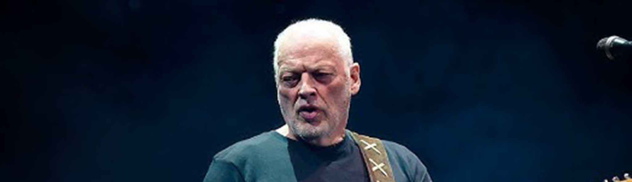 David Gilmour