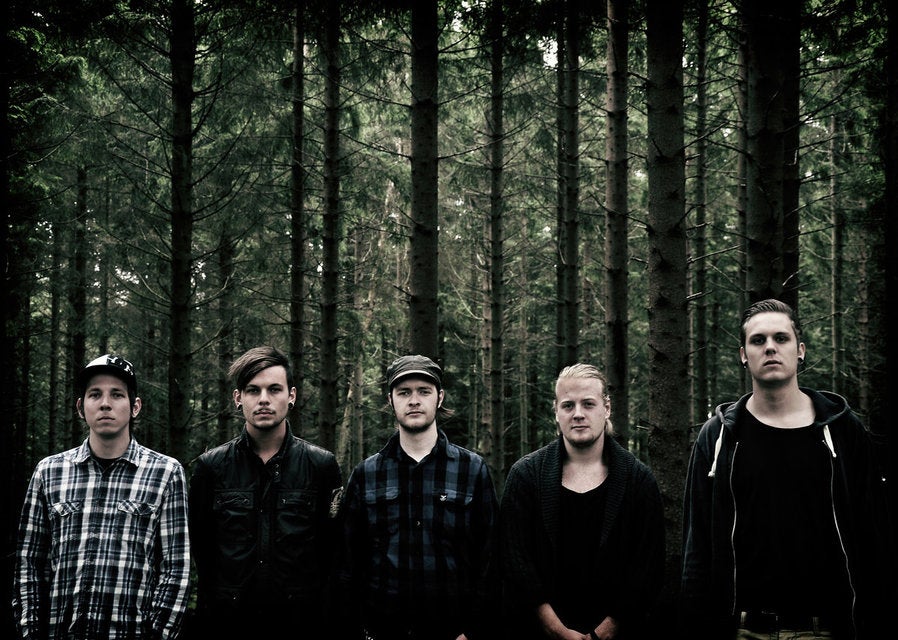 Ingested Tickets