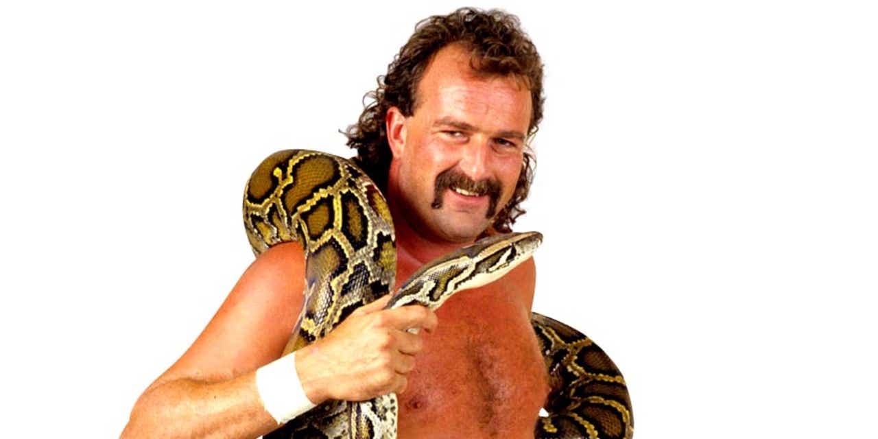 Jake the Snake Roberts