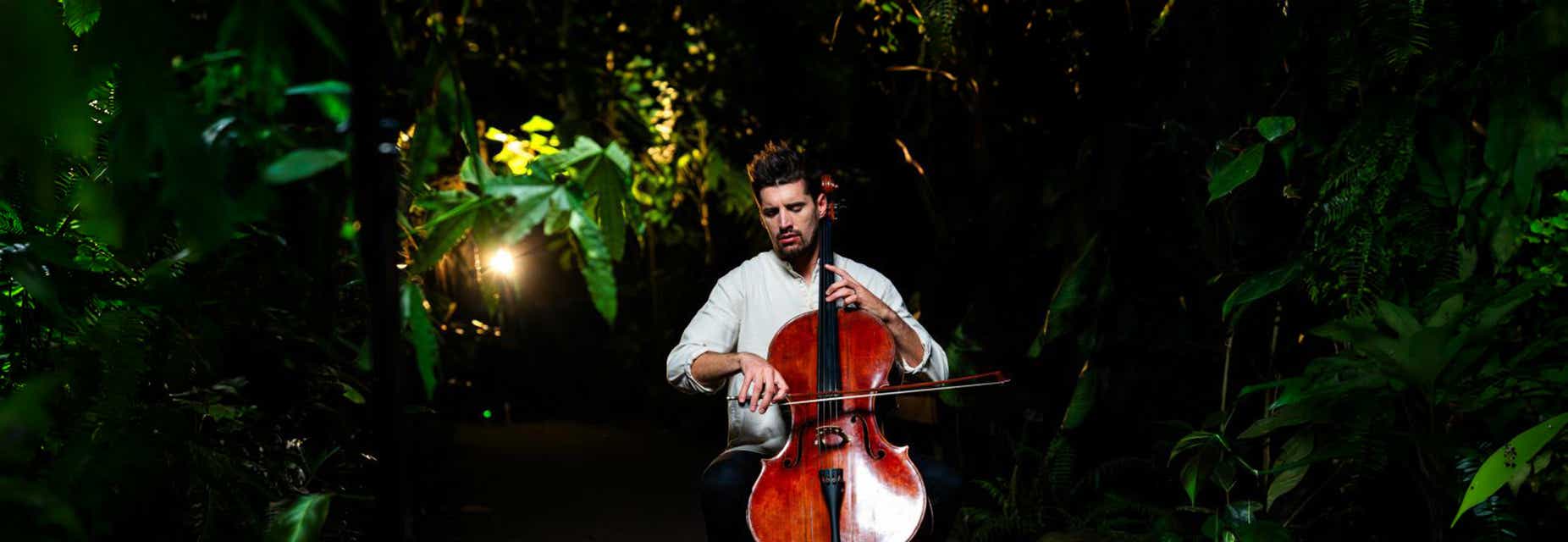 Luka Sulic will be playing at Warner Theatre in Washington