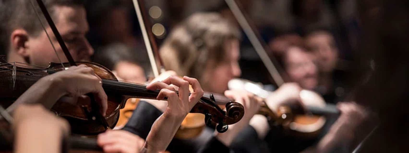 The Renaissance Orchestra