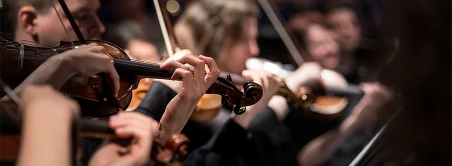 Stardew Valley: Festival of Seasons will be playing at Hawaii Theatre in Honolulu