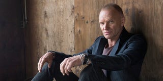 Sting