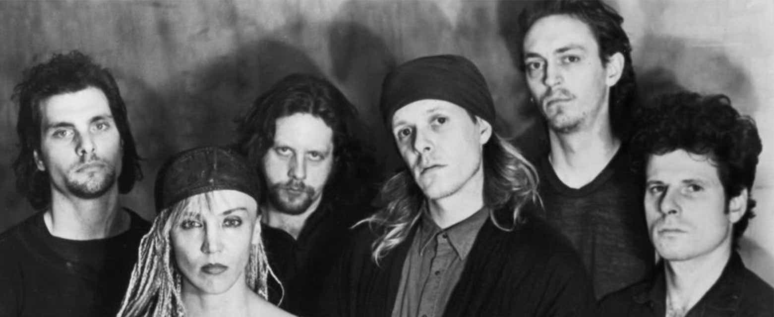 Swans