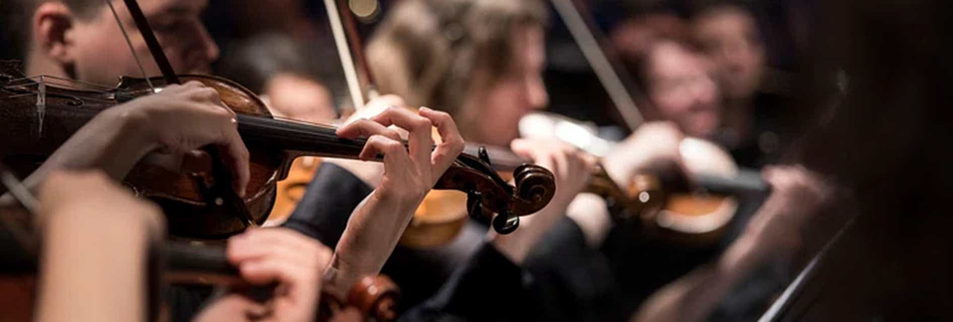 The Witcher in Concert