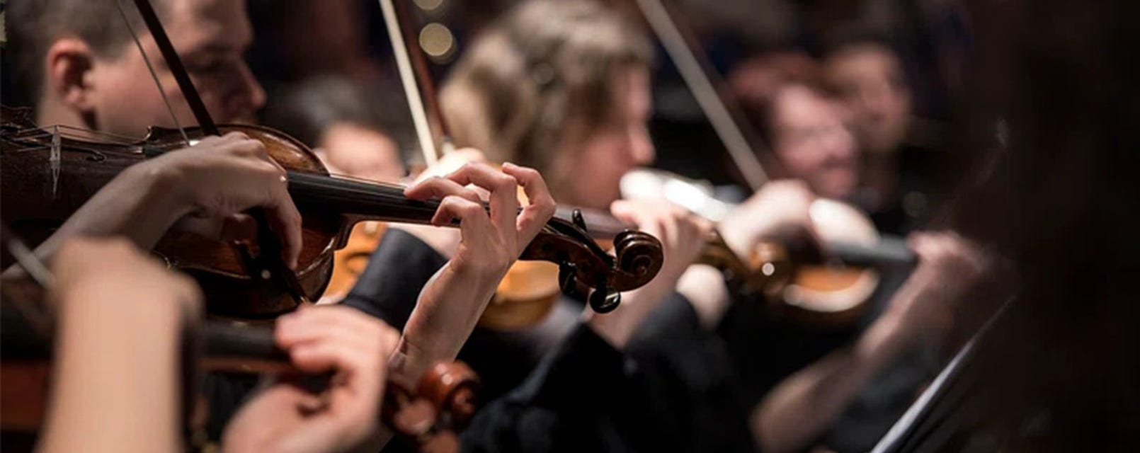 Vitamin String Quartet