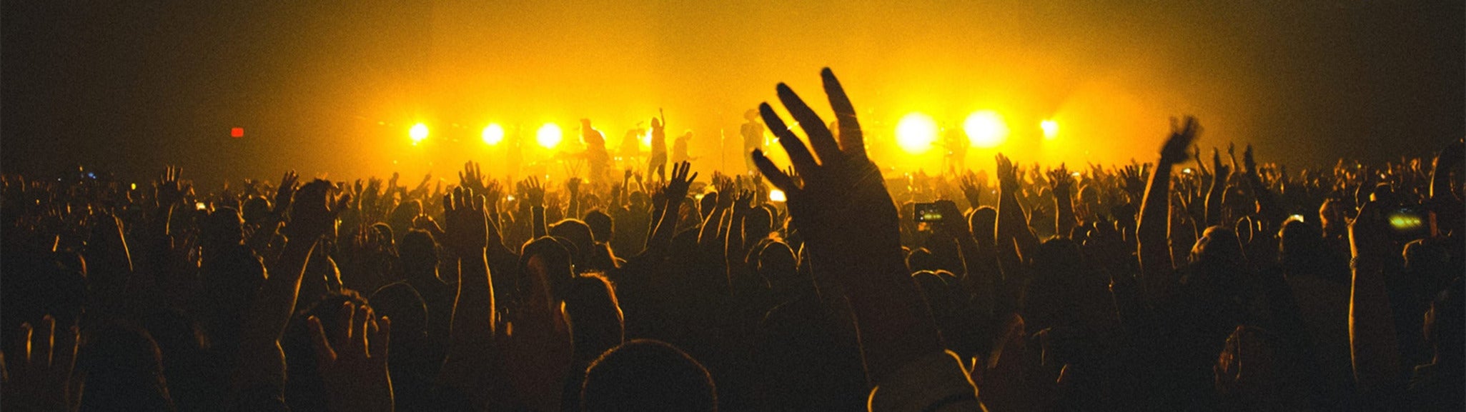 Wild Horses Festival