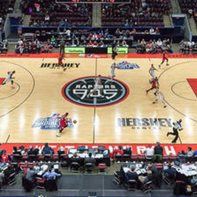 Cheap Raptors 905 Tickets Gametime cheap-raptors-905-tickets-gametime