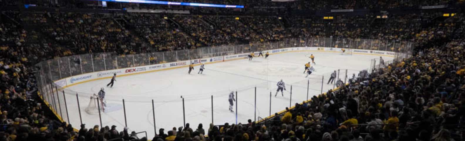 NHL All Star Game