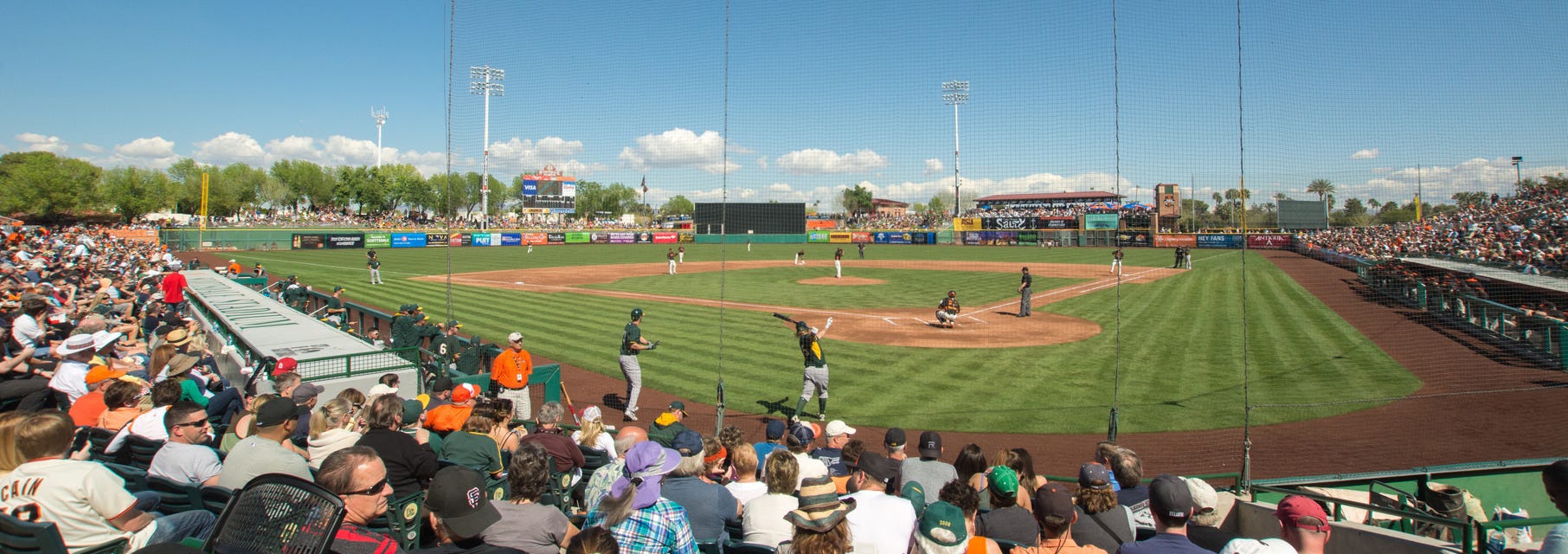 Savannah Bananas will be playing Florida State Baseball at Dick Howser Stadium in Tallahassee