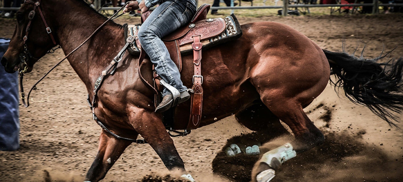 Grand National Rodeo will be playing at Cow Palace in Daly City