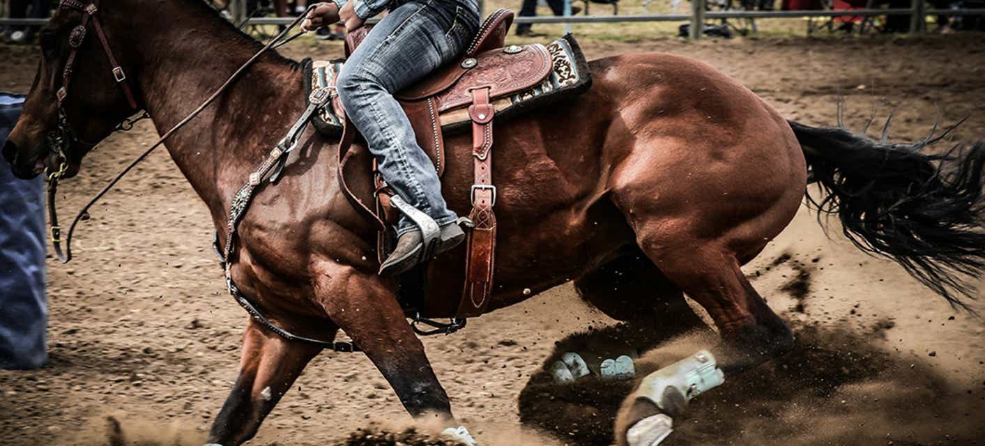 Grand National Rodeo will be playing at Cow Palace in Daly City