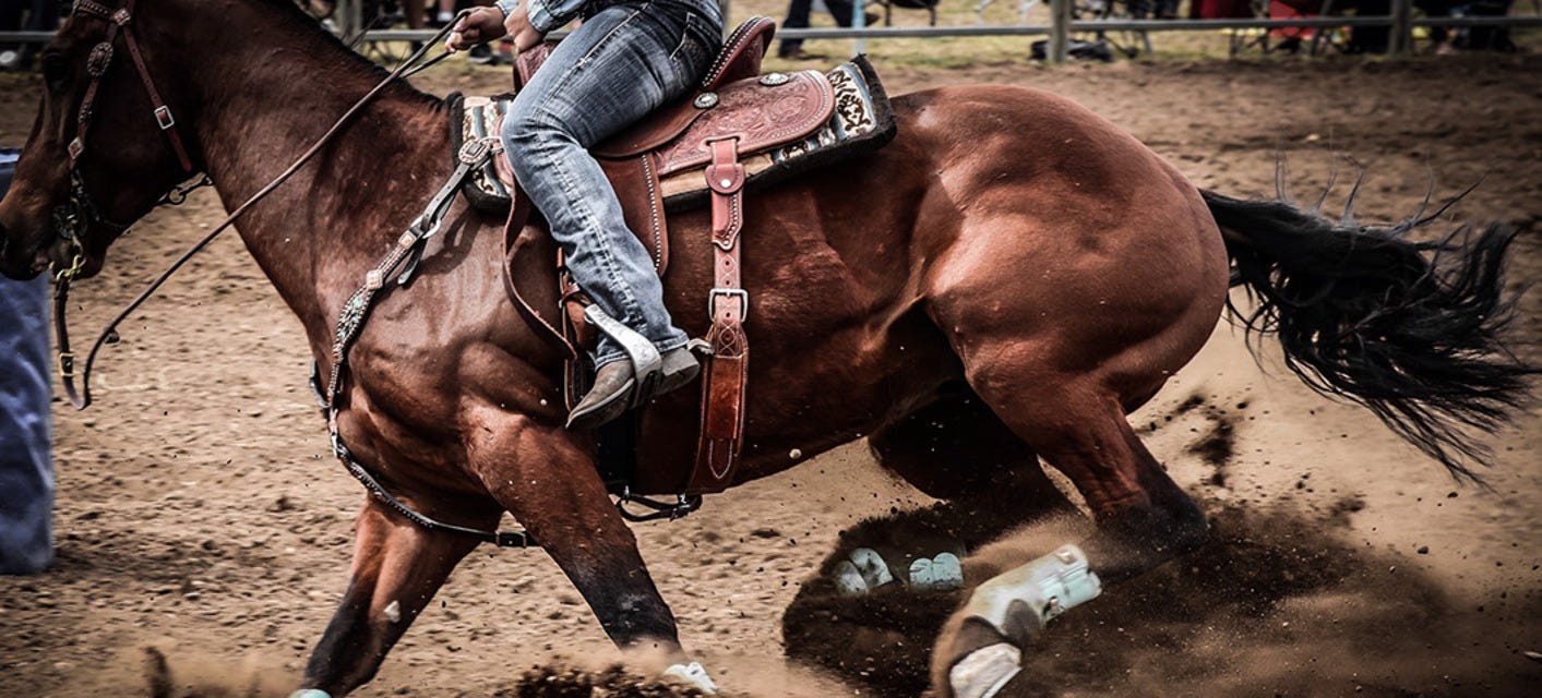 The Hondo Rodeo Fest will be playing at Caesars Superdome in New Orleans
