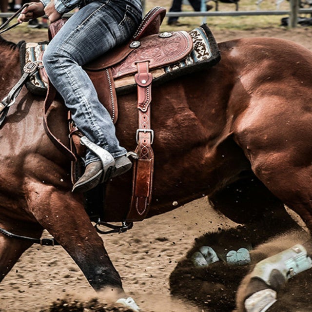 Jackson Hole Rodeo Tickets - 6/21/25 at Jackson Hole Rodeo in Jackson ...