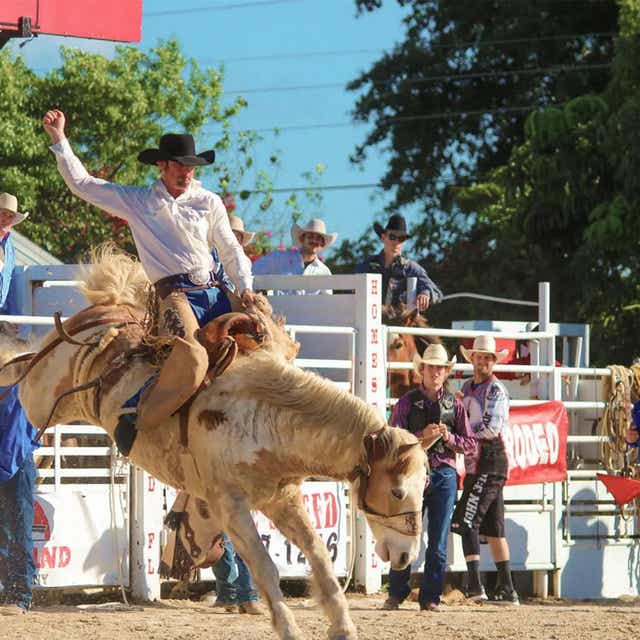 Cheap PRCA Championship Rodeo Tickets | Gametime