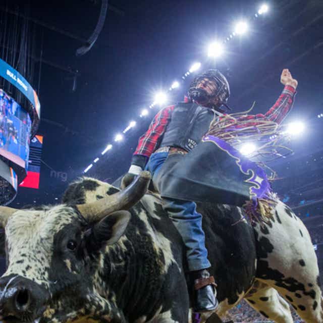 Rodeo Tickets at Madison Square Garden in New York, NY Gametime