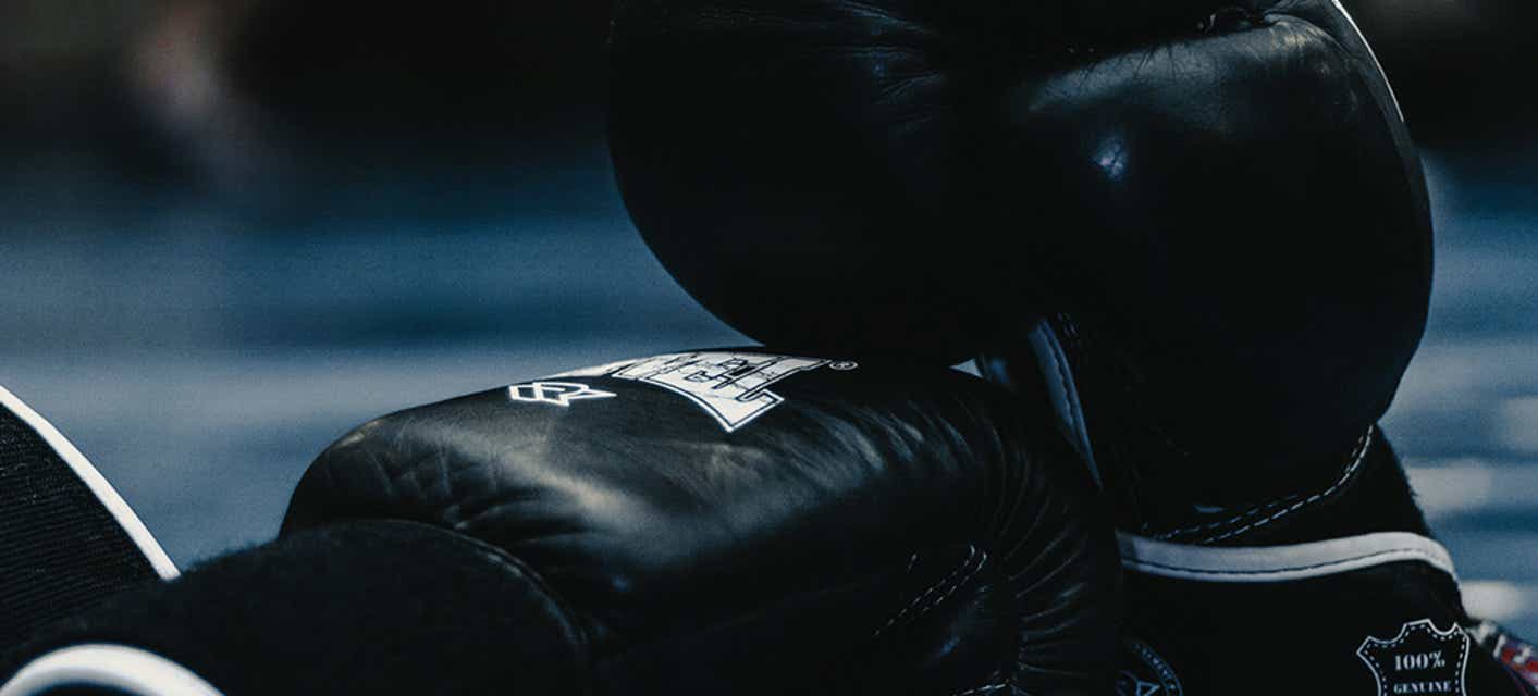 Father's Day Pro Boxing Classic Tickets