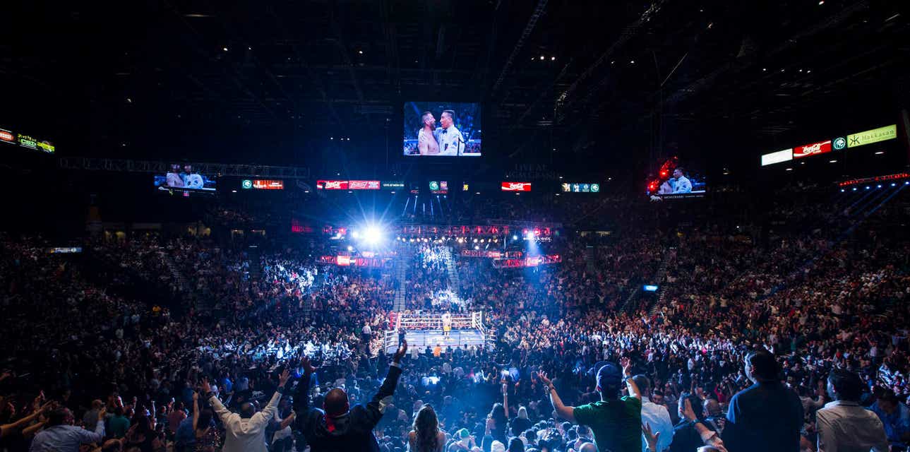 Floyd Mayweather vs Logan Paul Tickets
