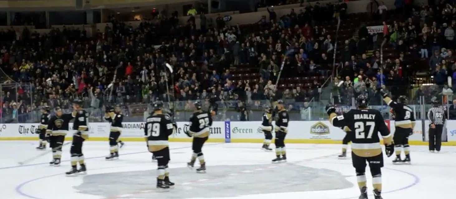 Newfoundland Growlers Tickets
