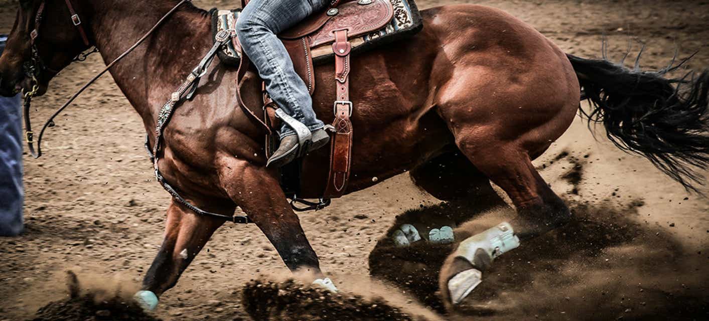 Arkansas Derby Tickets