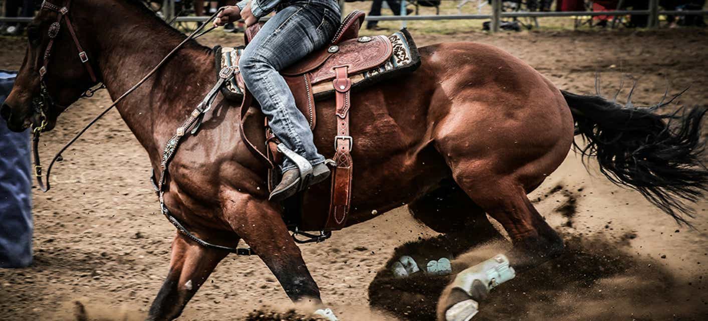 World Championship Horse Show Tickets