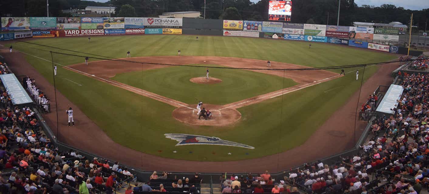Delmarva Shorebirds Tickets