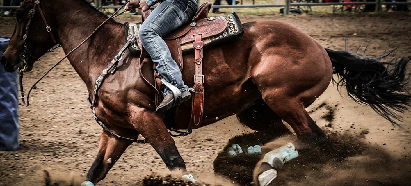 Days of 47 Rodeo Tickets
