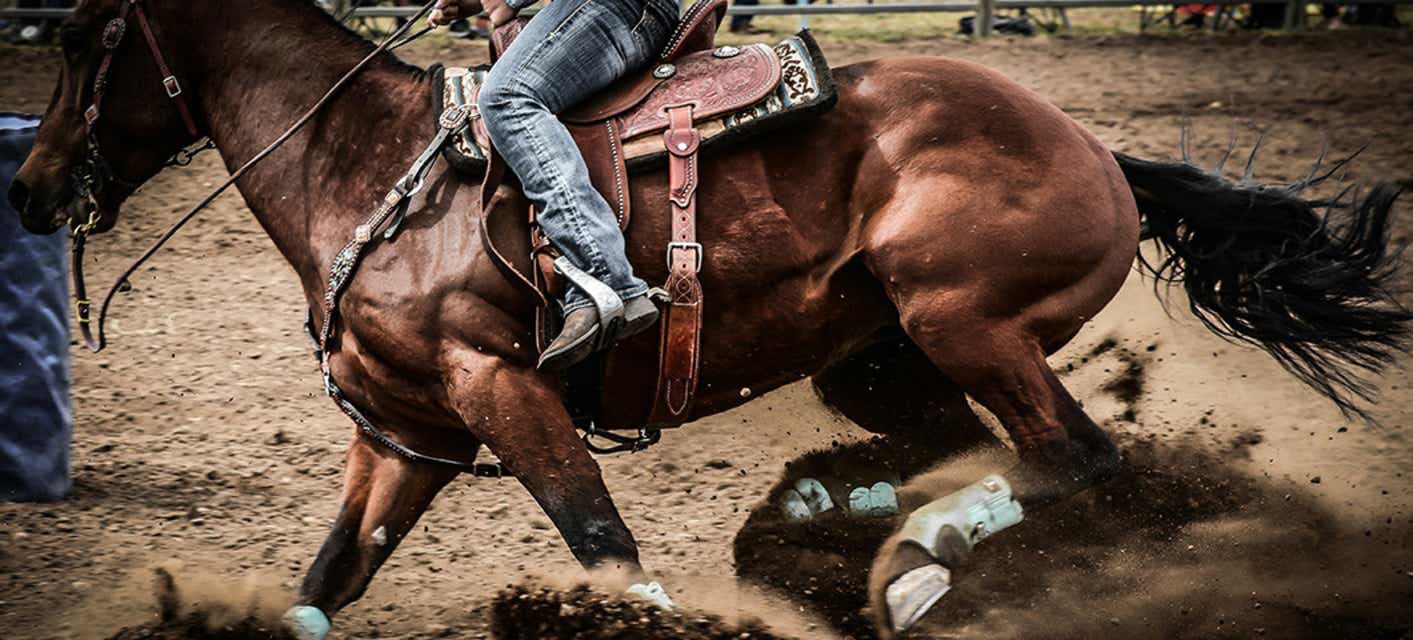 Cedar Park Rodeo Tickets