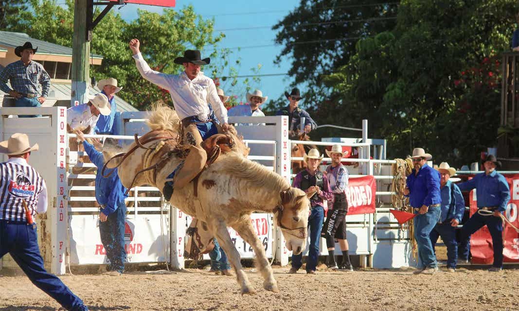 Rodeo Corpus Christi Tickets