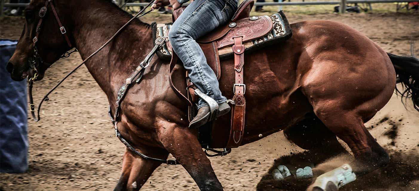 Rodeo Austin Tickets