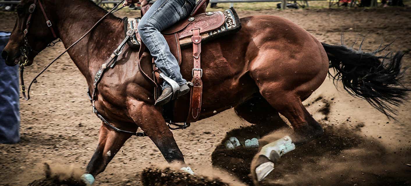 Southeastern Rodeo Association Tickets