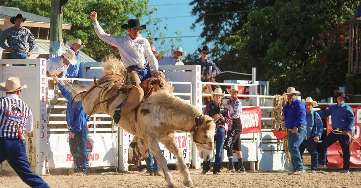 Stampede Championship Rodeo Tickets